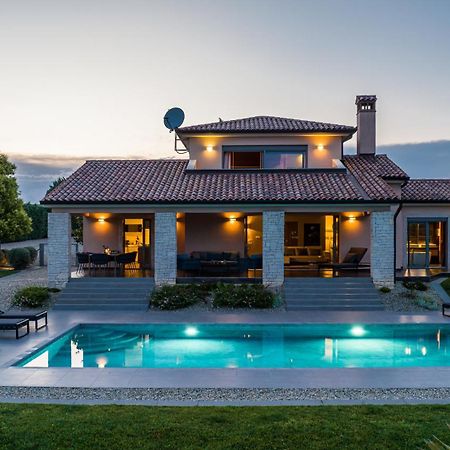Villa Labin In Zartinj - Luxury Privacy Heated Pool With Auto Cover Buitenkant foto